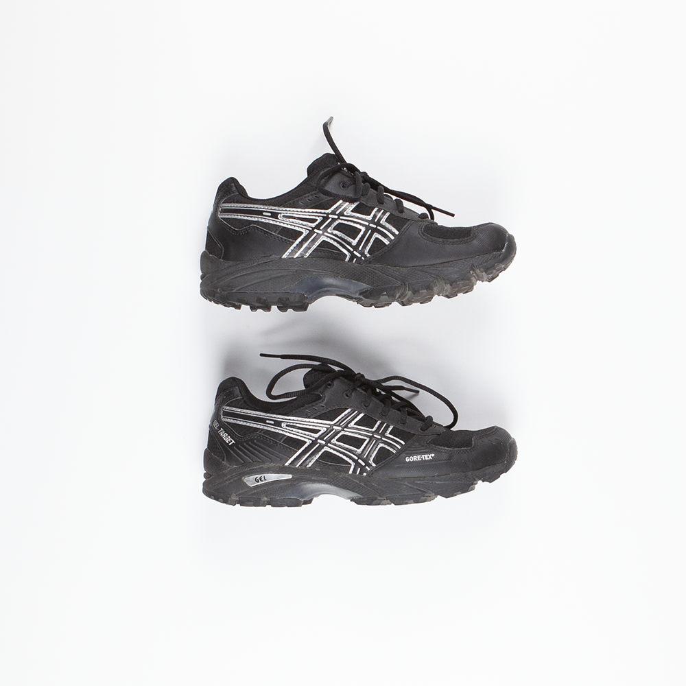 Asics gore-tex shoes