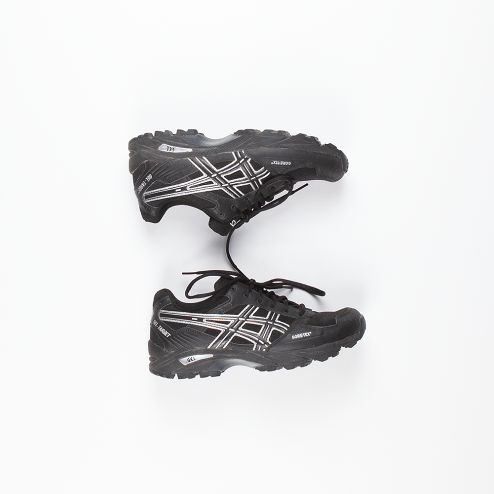 Asics gore-tex shoes